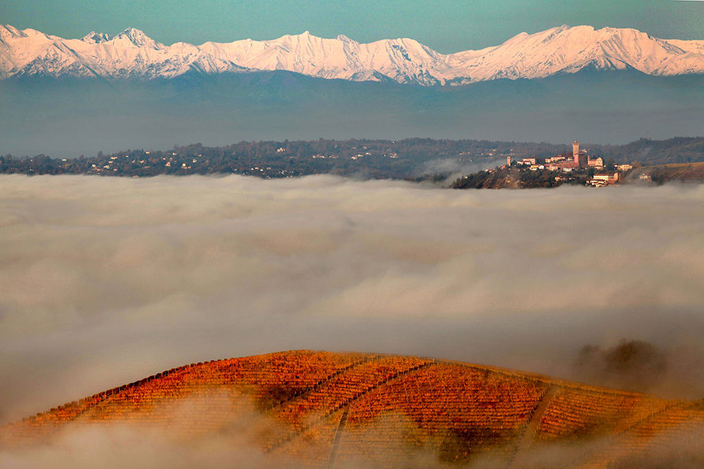 barolo